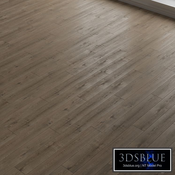 Laminate. Parquet. 21