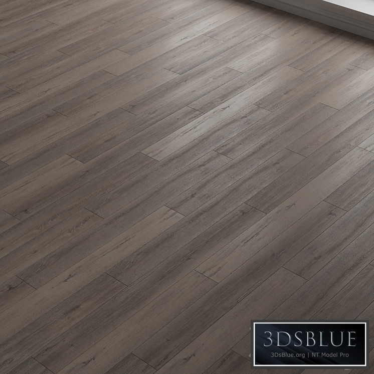 Laminate. Parquet. 22