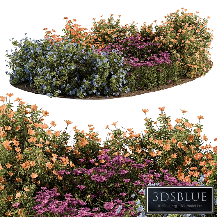 Garden Set colorful Flower Bush - Outdoor Plants Set 424
