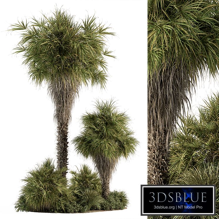 Garden Set Tropical Plants Tall Palm Tree - Outdoor Plants Set 428