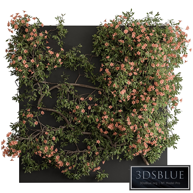 Outdoor Plant Set 426- Ivy on Wall