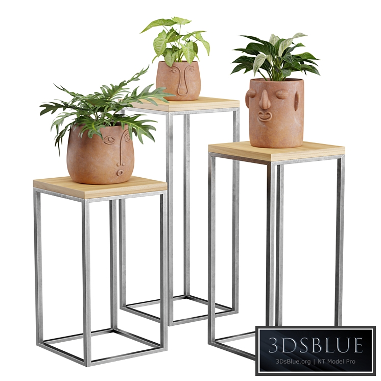 Facepot Terracota Plant Set