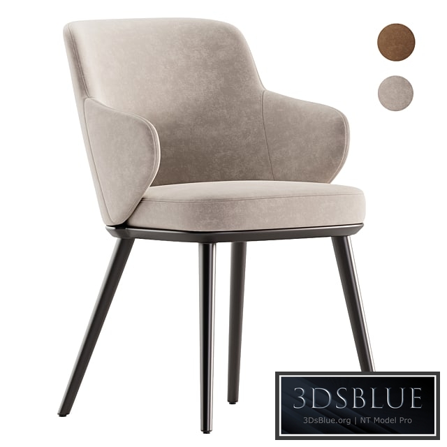 Foyer chair by Calligaris