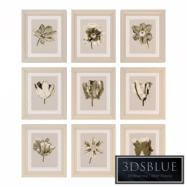 Charlotte Morgan Watercolour Tulips Sepia Nine Piece