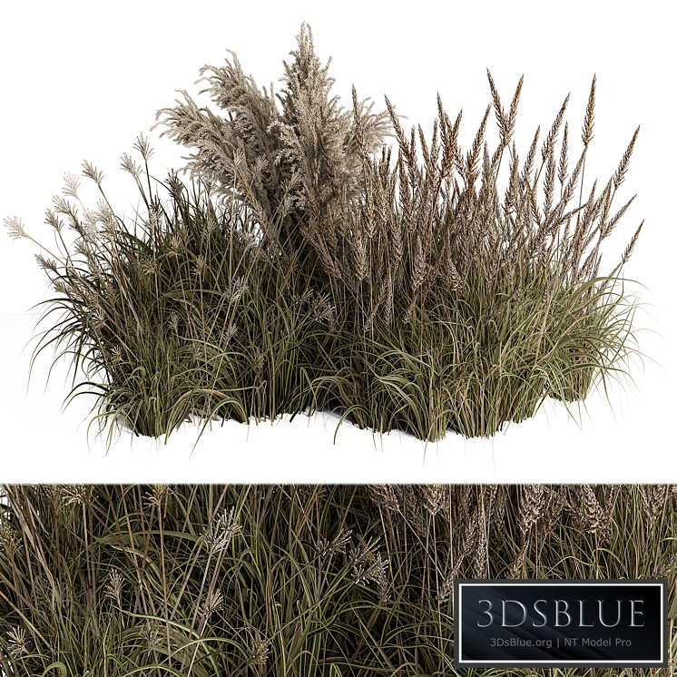 Pampas Plant Bush Set 96
