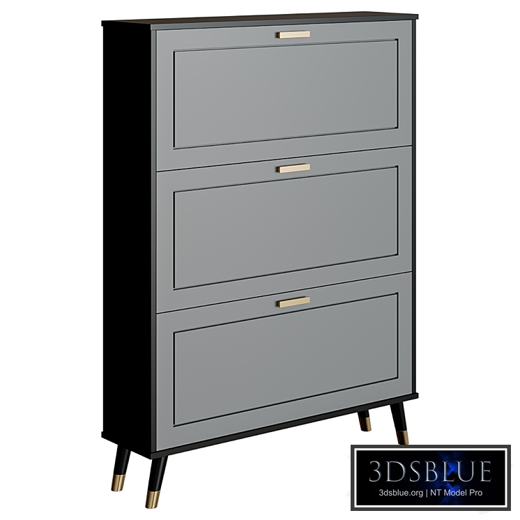 Shoe cabinet Renard Chest of drawers