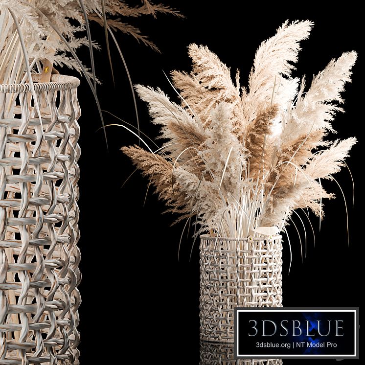 Bouquet of white dried flowers in a wicker basket, reeds, pampas grass, Cortaderia. 256.