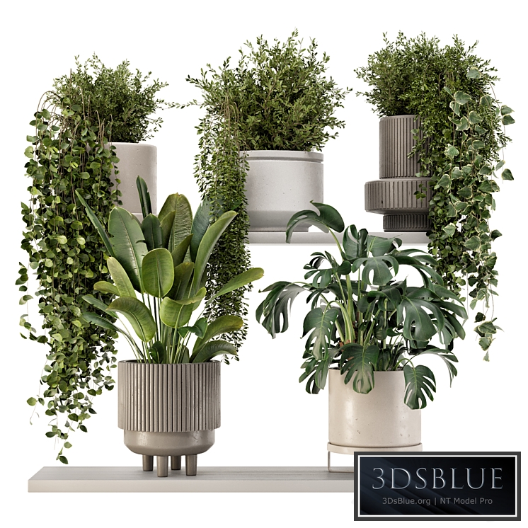 Indoor Hanging Plants in rusty Concrete Pot - Set 909