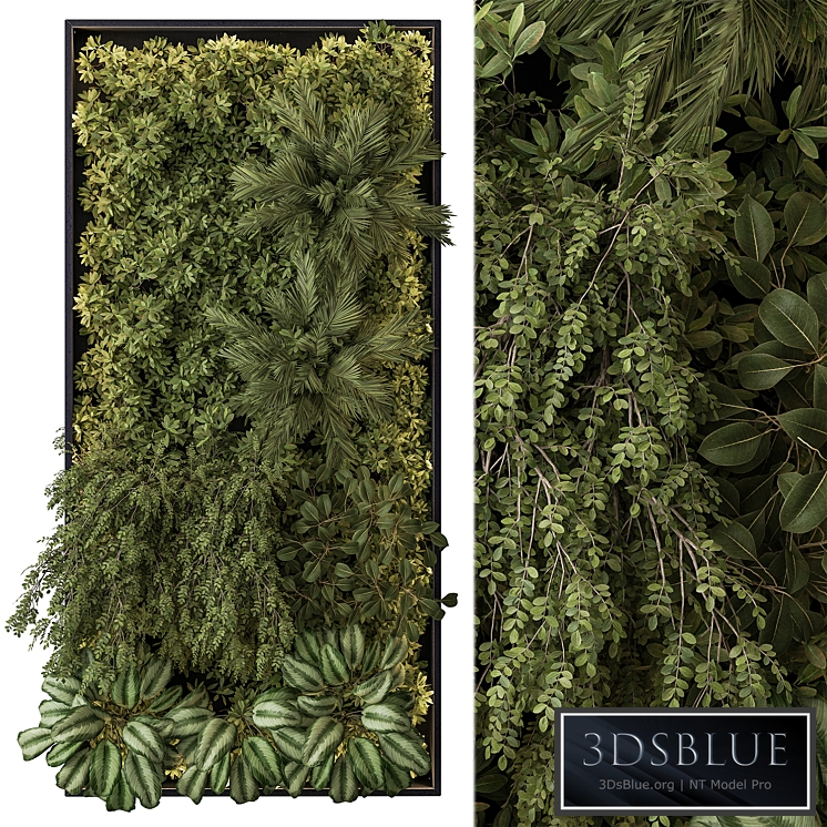 Vertical Garden - Wall Decor 59