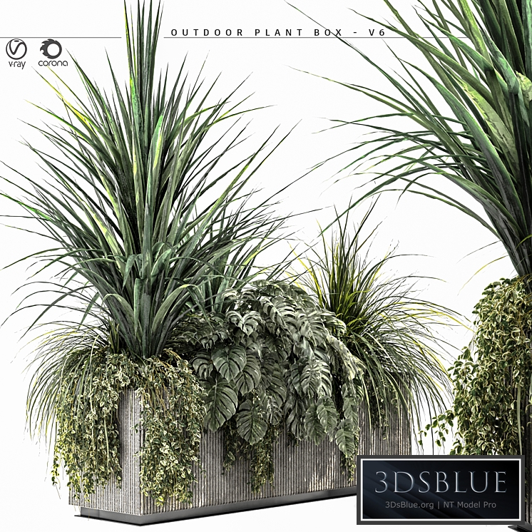 Outdoor Plant BOX-V6