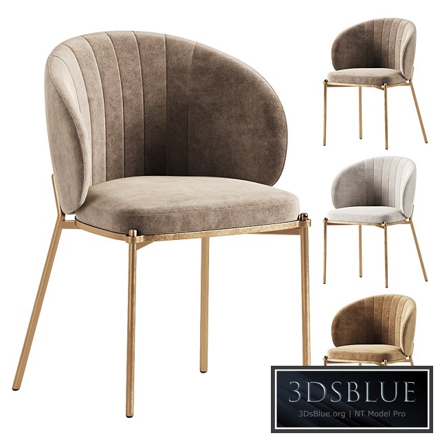 Shell Back Dining Chair