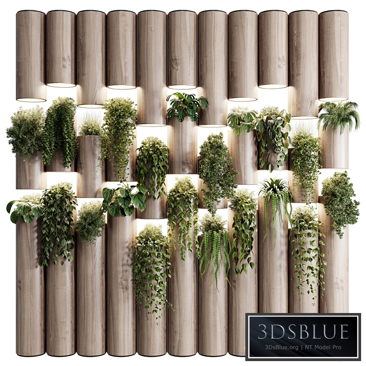 plants set partition in wooden frame- Vertical graden wall decor box 30