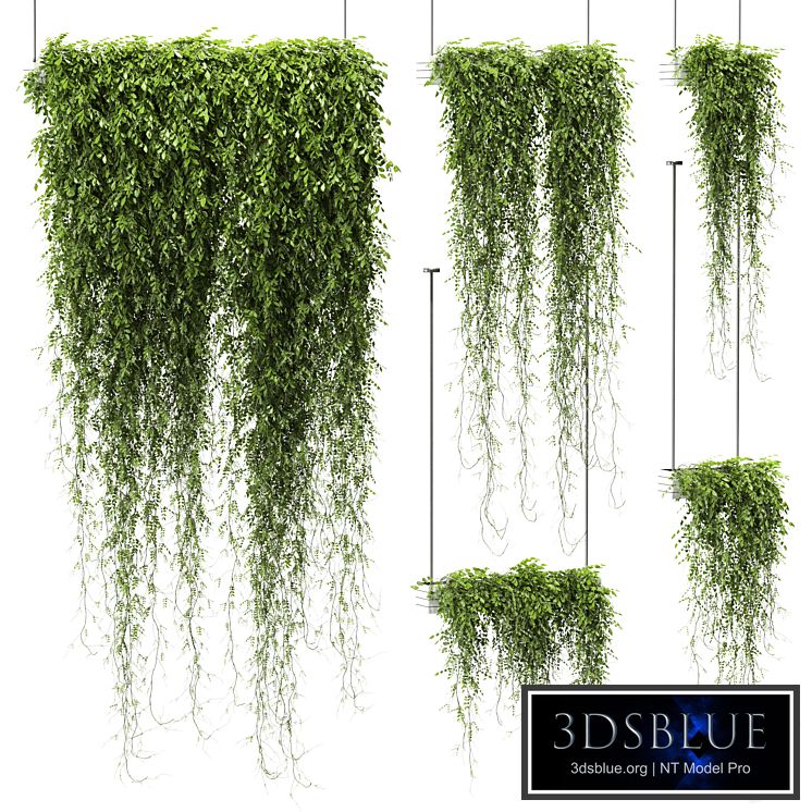 Plants in hanging pots v4. 5 models