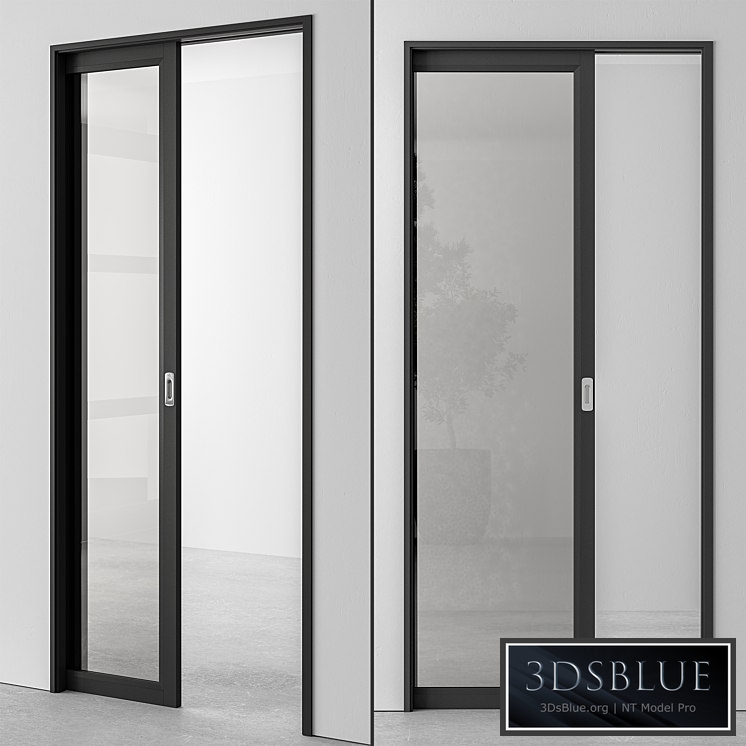 Glass Pocket Door - Set 51