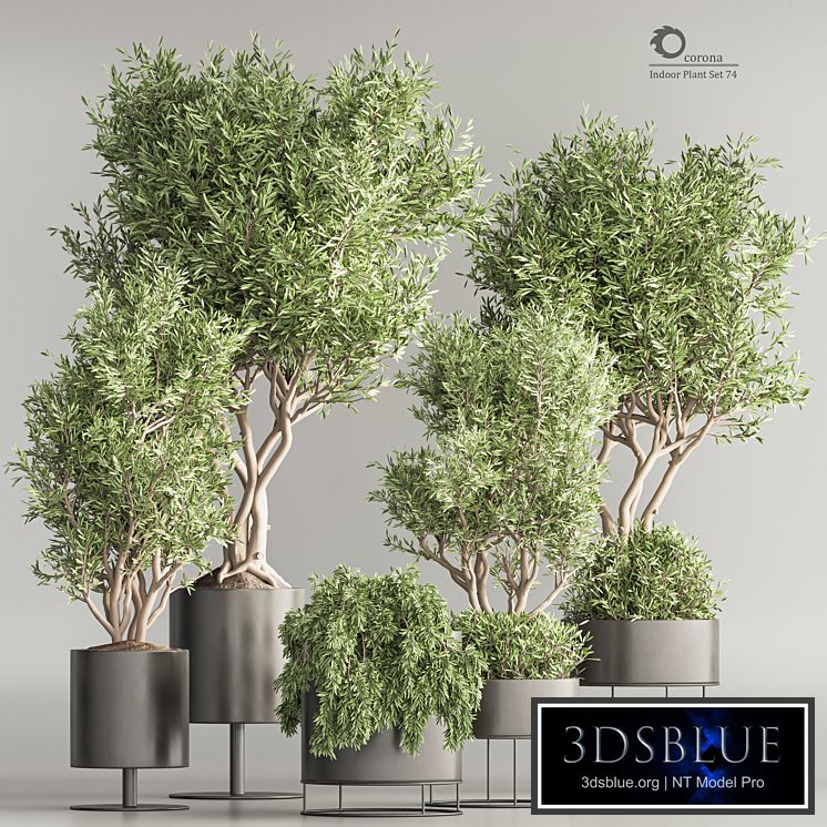 Indoor Plant Set 74(Corona)