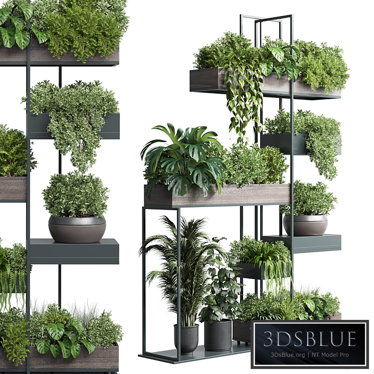 Standing metal shelf with a set of plants in wooden and metal boxes 267