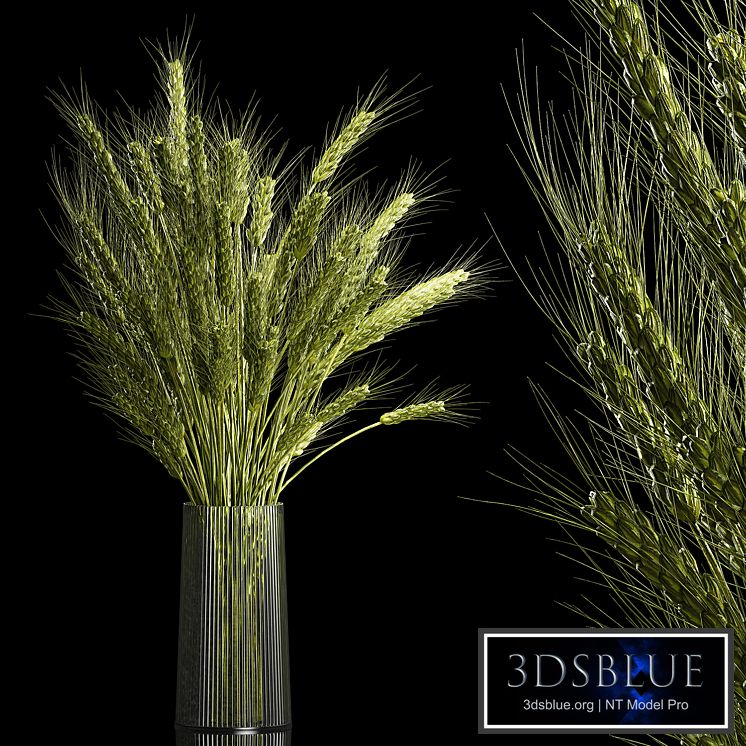 Bouquet of green flowers in a glass vase for decoration of wheat branches, spikelet. 265.