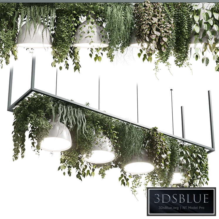 pot light - pendant plant light hanging 08