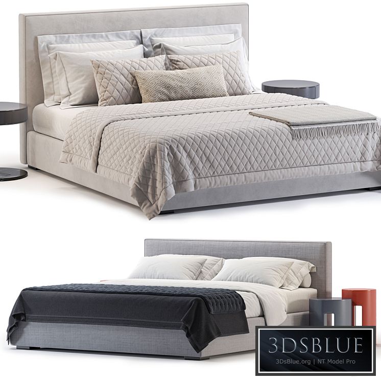 Meridiani Stone Bed NO.2