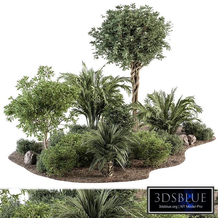 Garden Plants - Outdoor Plants 442