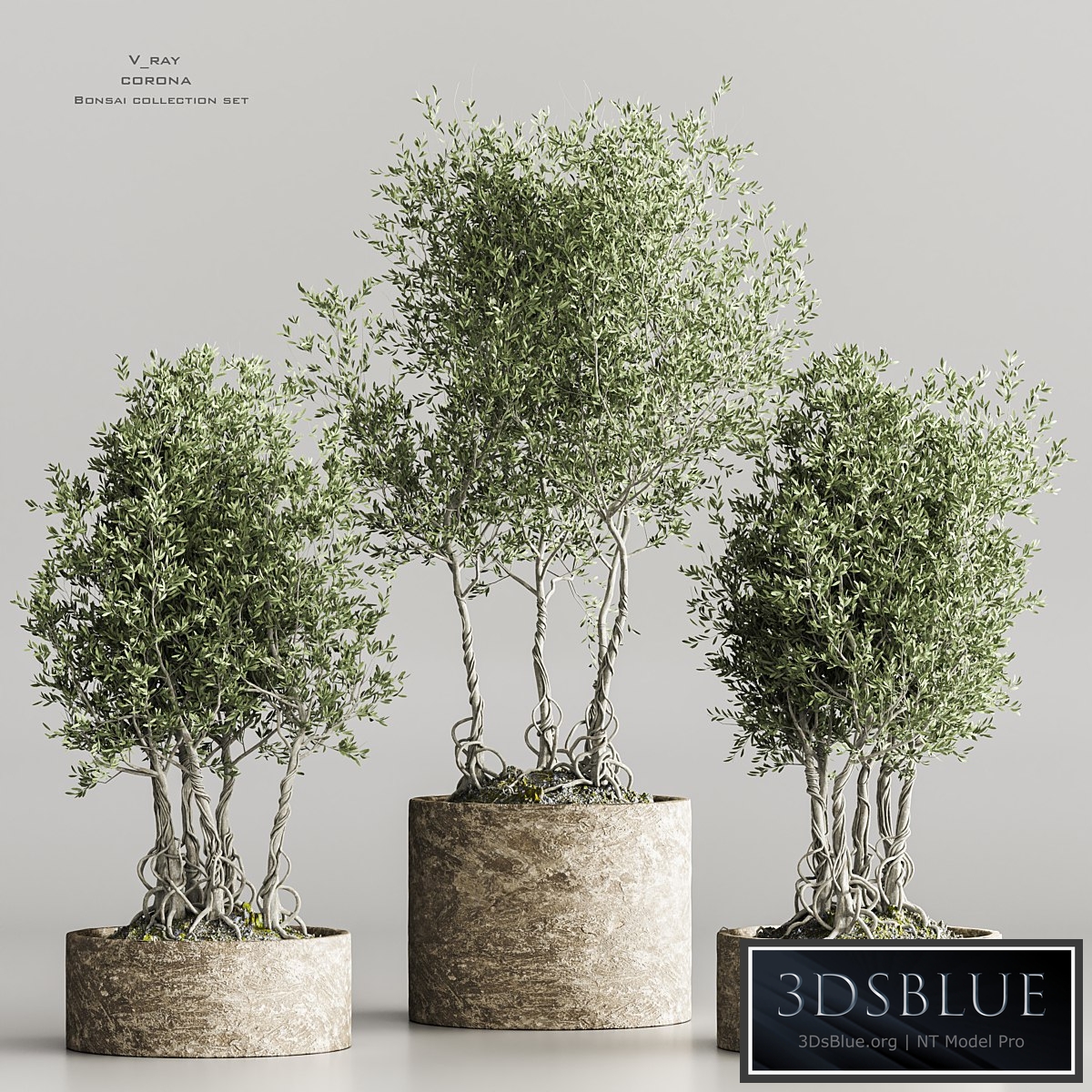 indoor_plant collection set vol 71