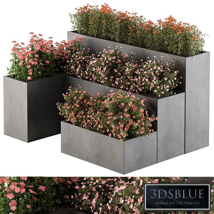 Flower Box - Outdoor Plants 436