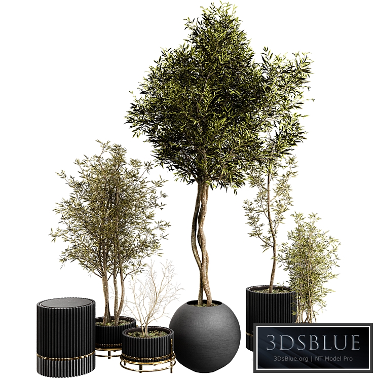 Plant Collection Set 03