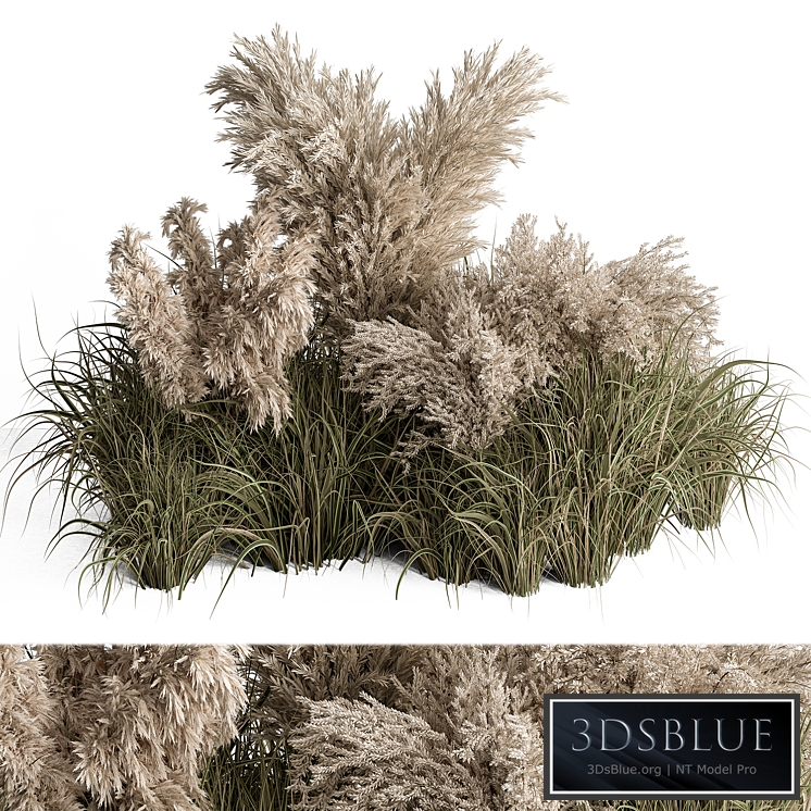 Mixed Pampas Plant Bush Set 95