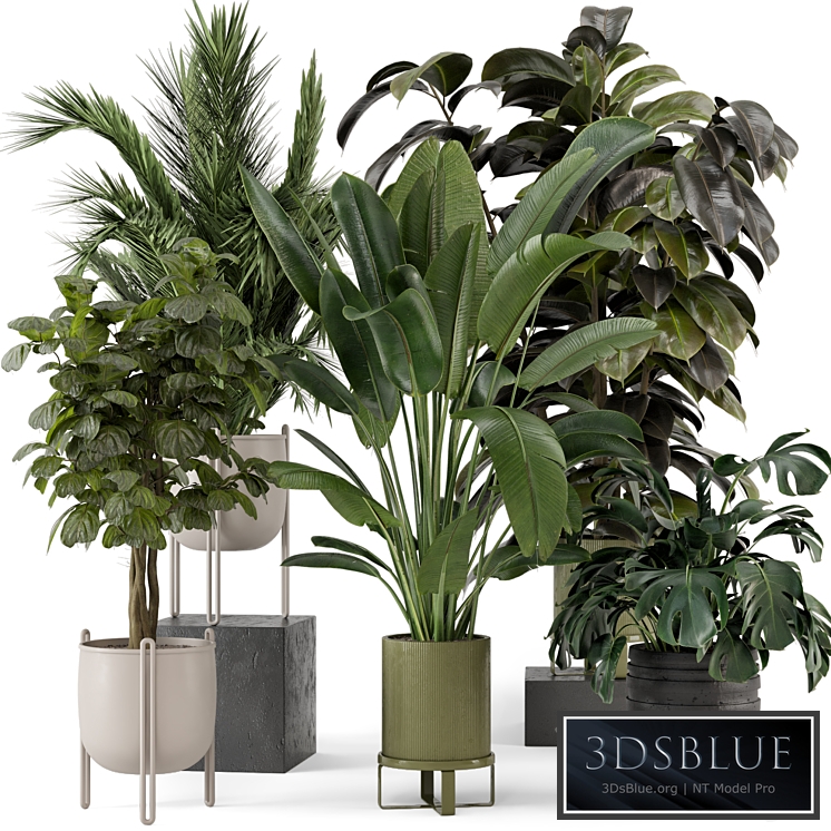 Indoor Plants in Ferm Living Bau Pot Large - Set 976