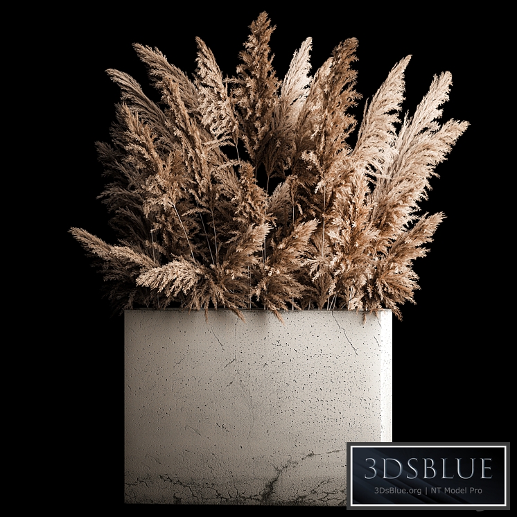 Decorative bouquet in a concrete vase of dry reeds and pampas grass for the interior, flowerpot, decor. 268.