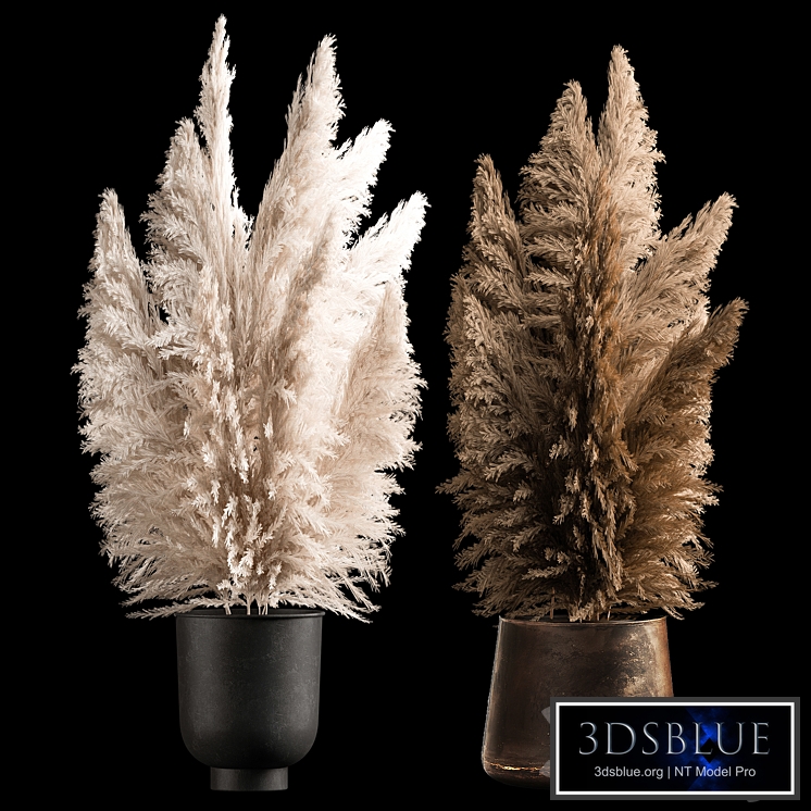 Dried flower bouquet of dried reeds in a rusty metal pot from pampas grass, Cortaderia. 272.