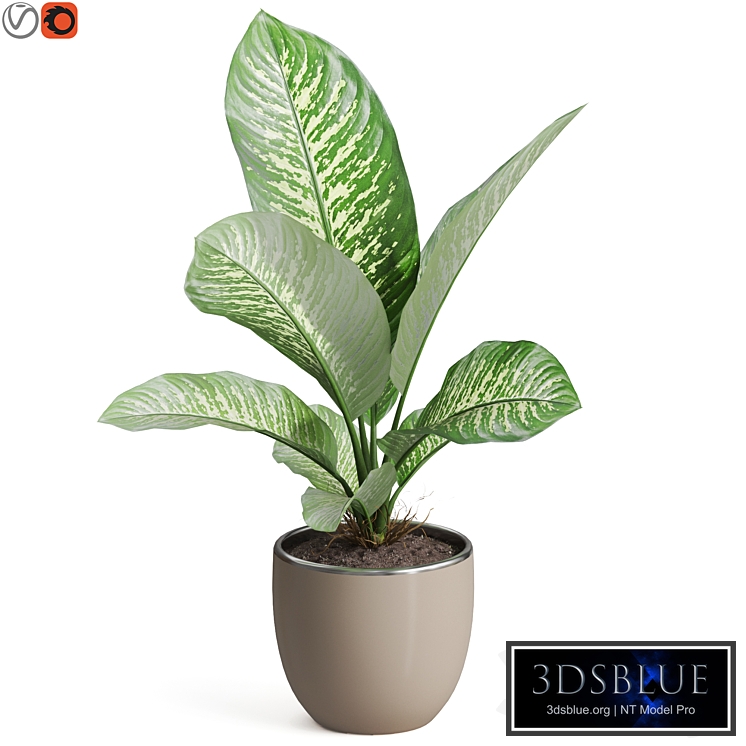 Plants collection 768