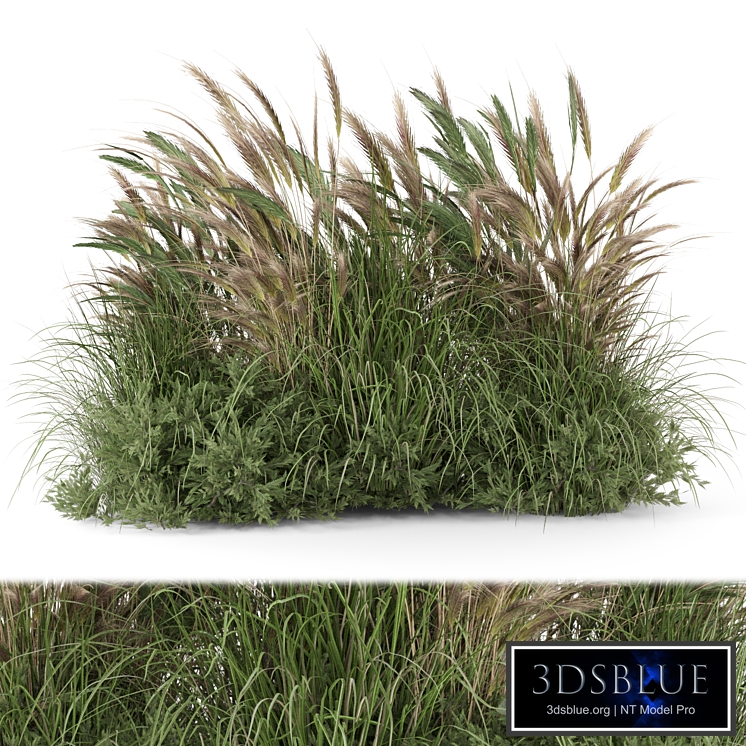 Outdoor Plants Bush Collection -Bush Set 982