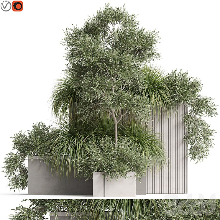 Plants collection 770