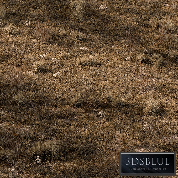 Dry Grass Set 16