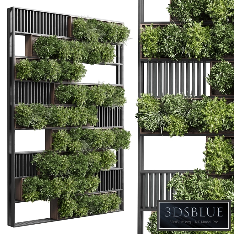 plants set partition in wooden frame - Vertical graden wall decor box 35