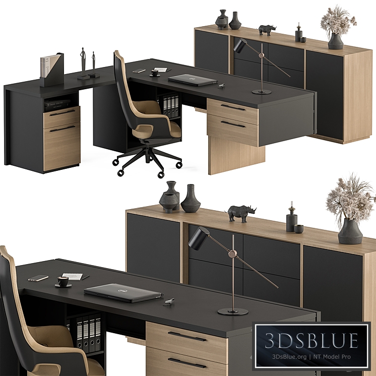 Manager Desk Set - Office Furniture 364