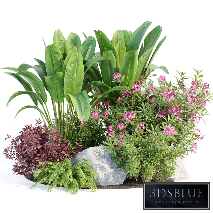 Outdoor Garden Plants Collection vol 136