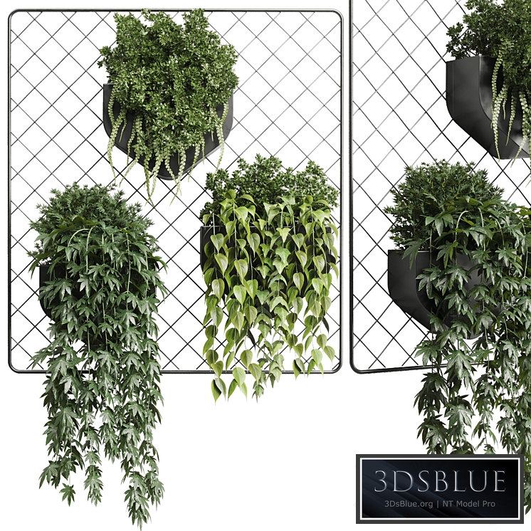 wall plant - hanging plants collection Indoor plant 293 metal dirt vase