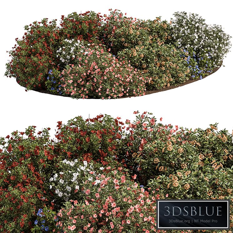 Garden colorful Flower Bush - Set 452