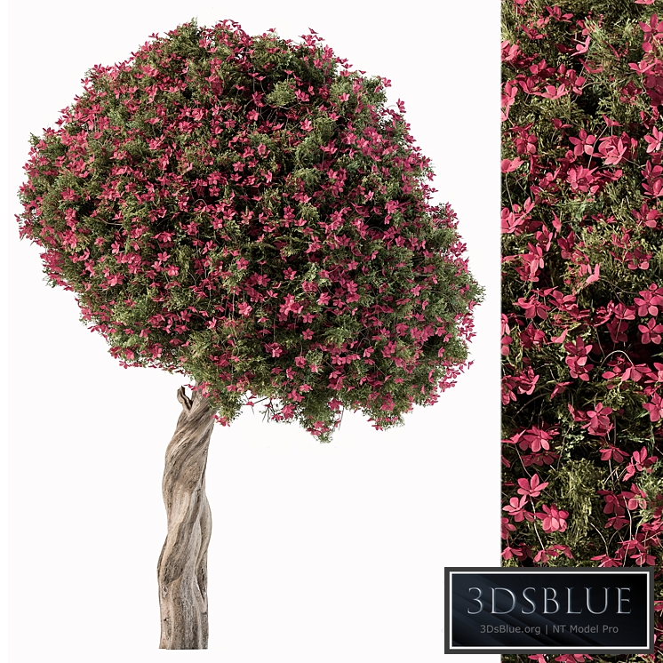 Flower Tree - Set 104