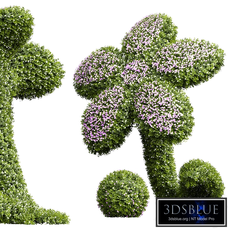 New Plant Bacopa Diffusa Sutera Decorative