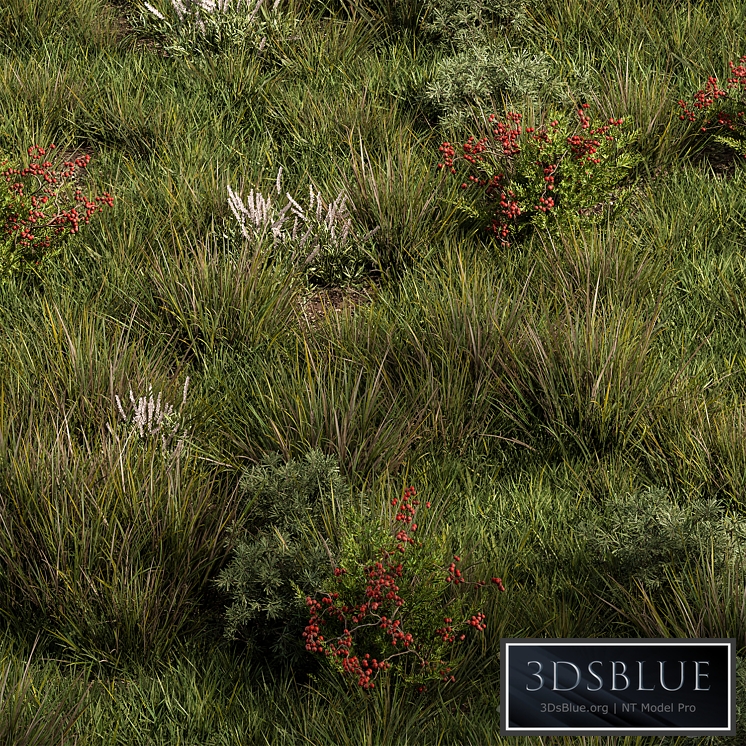 Nature Meadow - Grass Set 17