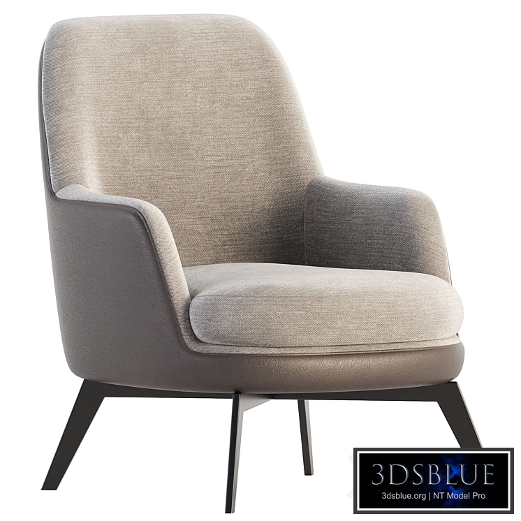 Flexform GUSCIO Armchair