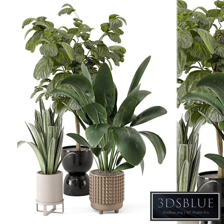 Indoor Plants in Ferm Living Bau Pot Large - Set 1044