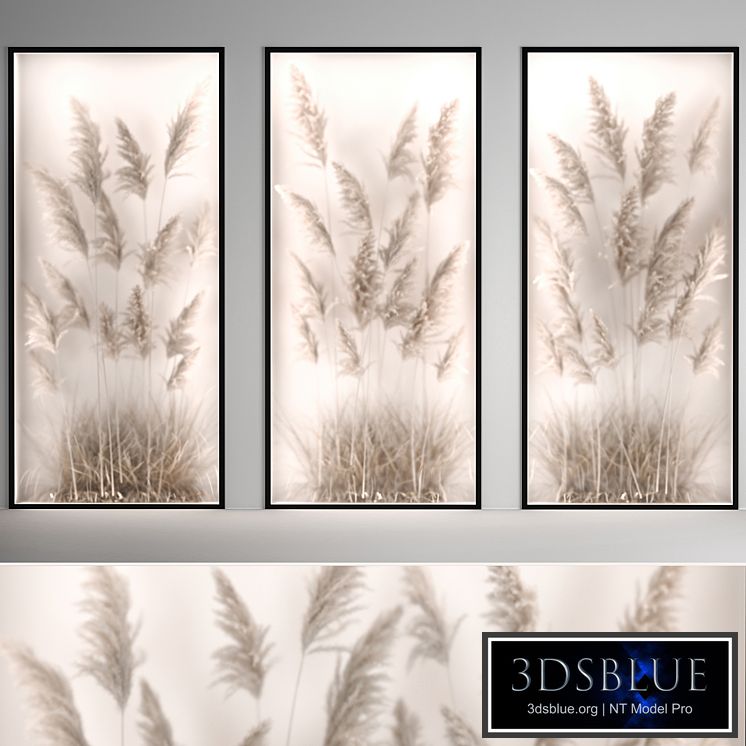 Phytomodule, phytobox and a vertical garden of dried flowers in a niche behind translucent glass dry reeds, cortaderia. Bouquet 284.