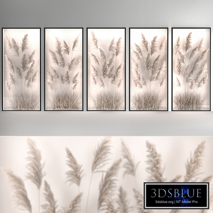 Phytomodule, phytobox of dried flowers in a niche behind translucent glass made of pampas grass, dry reed, cortaderia. Bouquet 285.