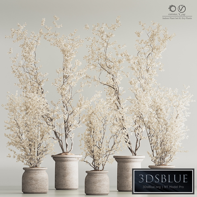 Indoor Plant Set 81 Dry Plants