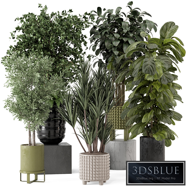 Indoor Plants in Ferm Living Bau Pot Large - Set 1053