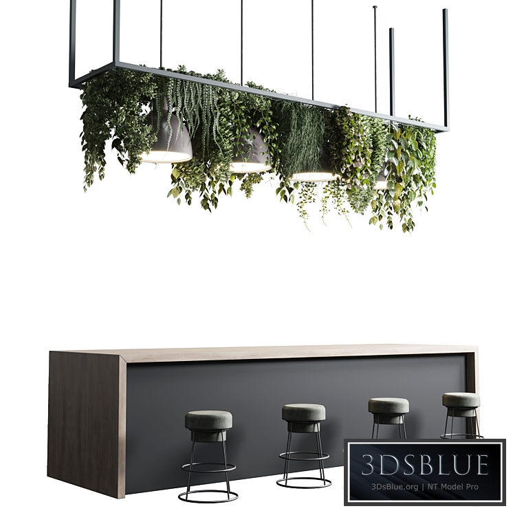 Coffee shop reception, Restaurant counter by hanging plant - 04